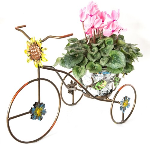 triciclo-portavasi-1-posto-fiori.jpg